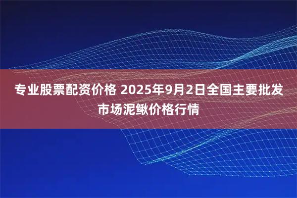 专业股票配资价格 2025年9月2日全国主要批发市场泥鳅价格行情