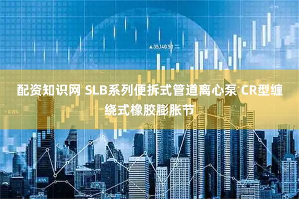配资知识网 SLB系列便拆式管道离心泵 CR型缠绕式橡胶膨胀节