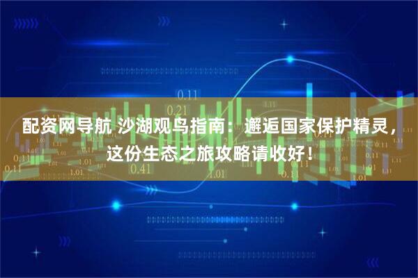 配资网导航 沙湖观鸟指南：邂逅国家保护精灵，这份生态之旅攻略请收好！