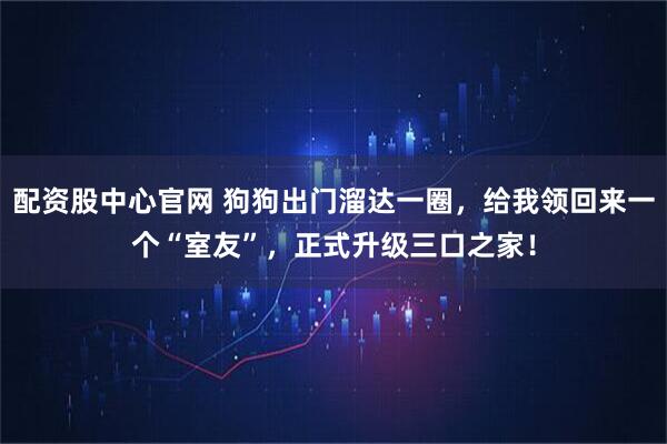 配资股中心官网 狗狗出门溜达一圈，给我领回来一个“室友”，正式升级三口之家！