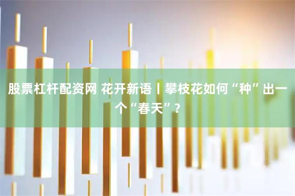 股票杠杆配资网 花开新语丨攀枝花如何“种”出一个“春天”？